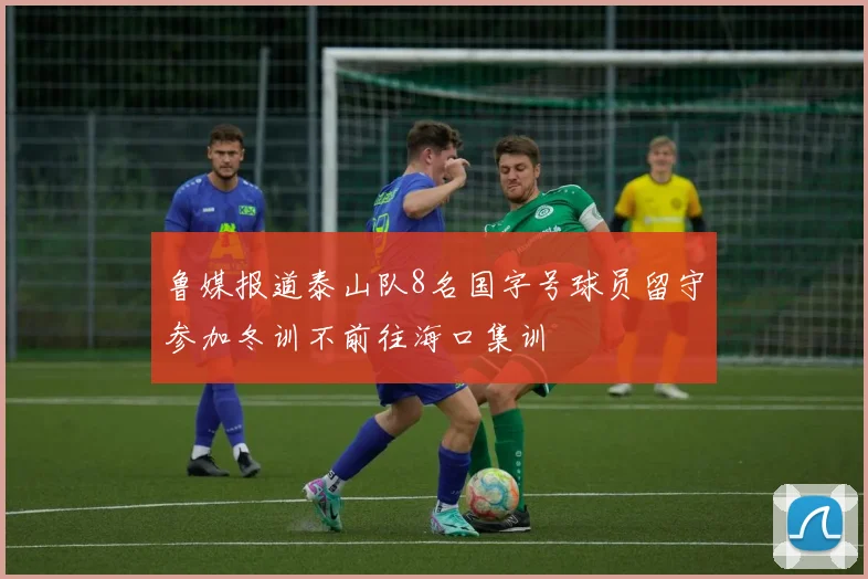 鲁媒报道泰山队8名国字号球员留守参加冬训不前往海口集训