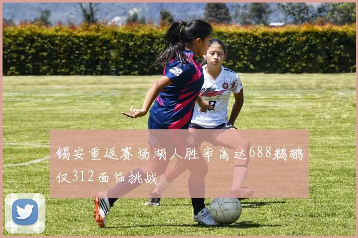 锡安重返赛场湖人胜率高达688鹈鹕仅312面临挑战