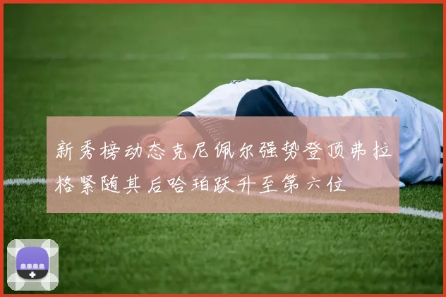 新秀榜动态克尼佩尔强势登顶弗拉格紧随其后哈珀跃升至第六位