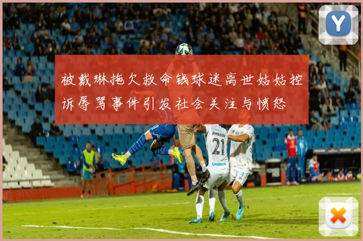 被戴琳拖欠救命钱球迷离世姑姑控诉辱骂事件引发社会关注与愤怒