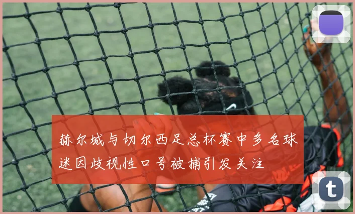 赫尔城与切尔西足总杯赛中多名球迷因歧视性口号被捕引发关注