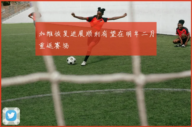 加维恢复进展顺利有望在明年二月重返赛场