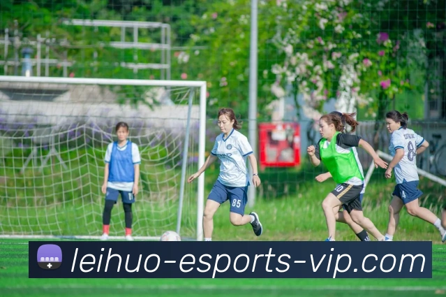 雷火电竞平台生态图